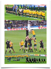 RUGBY WORLD CUP COLLAGE - Carol Sparkes RUGBY WORLD CUP COLLAGE - Carol Sparkes